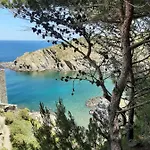 Troc Pinell * Banyuls-sur-Mer