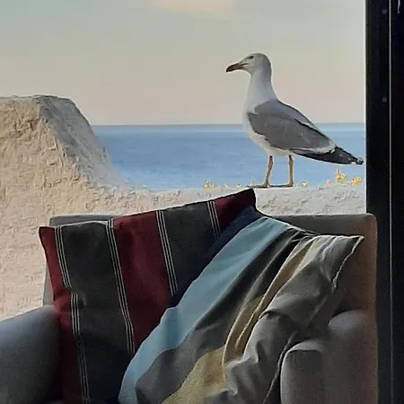 Villa Troc Pinell Banyuls-sur-Mer