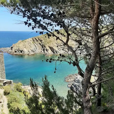 Troc Pinell * Banyuls-sur-Mer