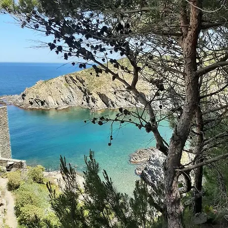 Troc Pinell * Banyuls-sur-Mer